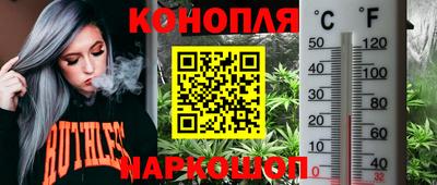 Альфа ПВП Кунгур