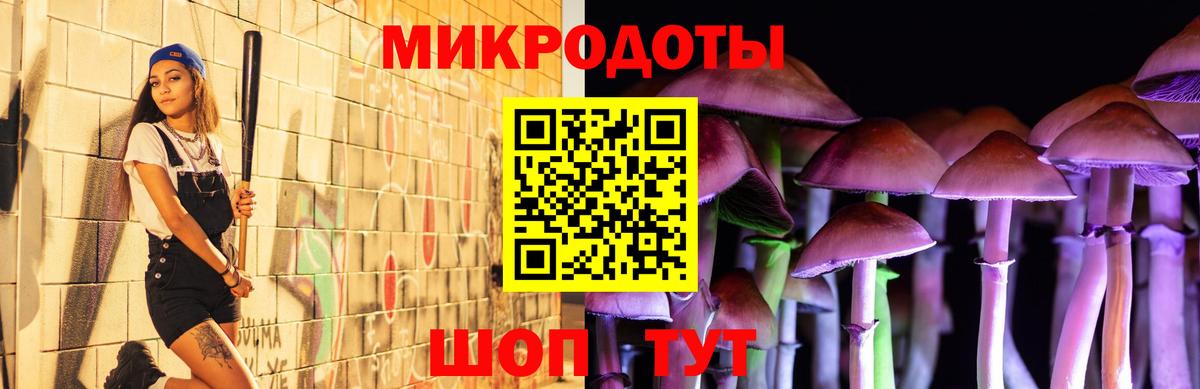 Заводоуковск  Псилоцибиновые грибы прущие грибы  Вход с VPN  Галлюциногенные грибы мухоморы 